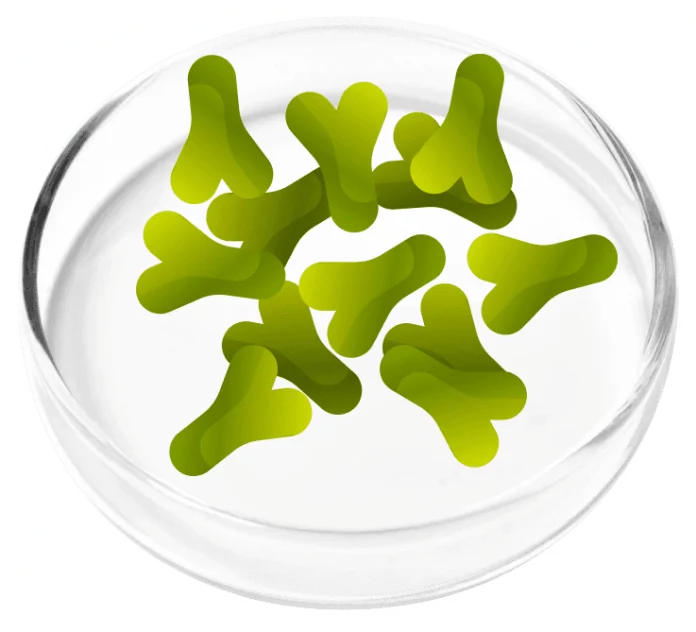FemiCore-ingredients-6