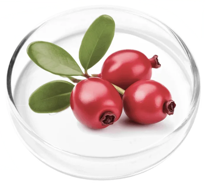 FemiCore-ingredients-2