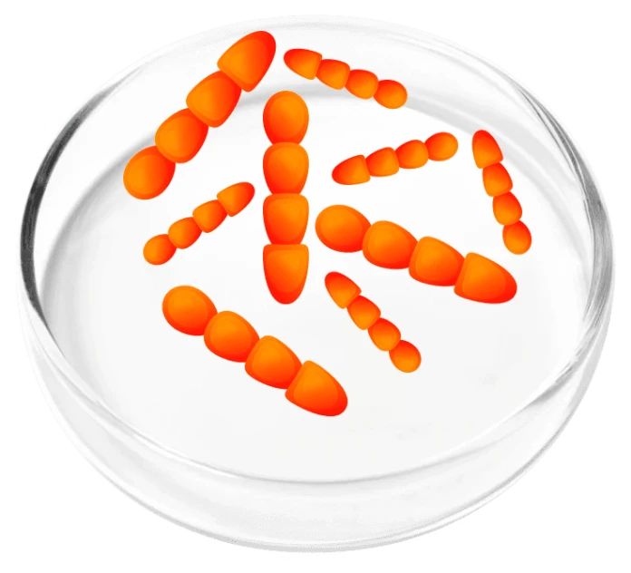 FemiCore-ingredients-5