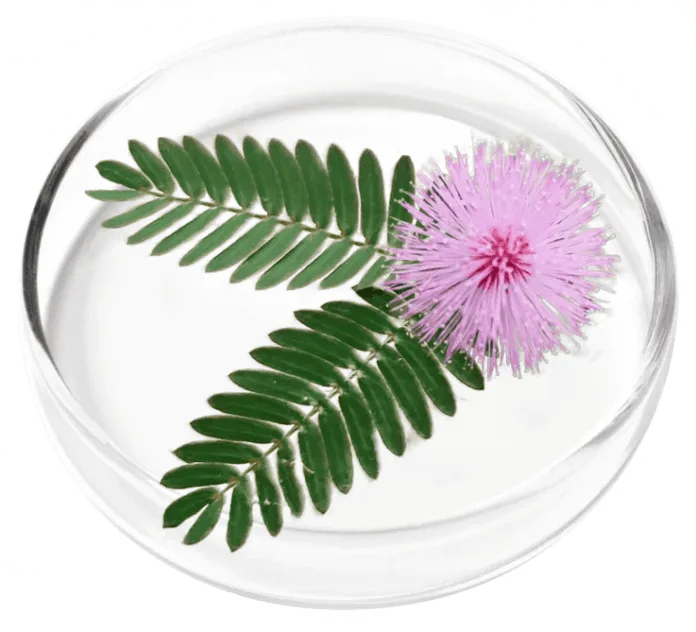 FemiCore-ingredients-1