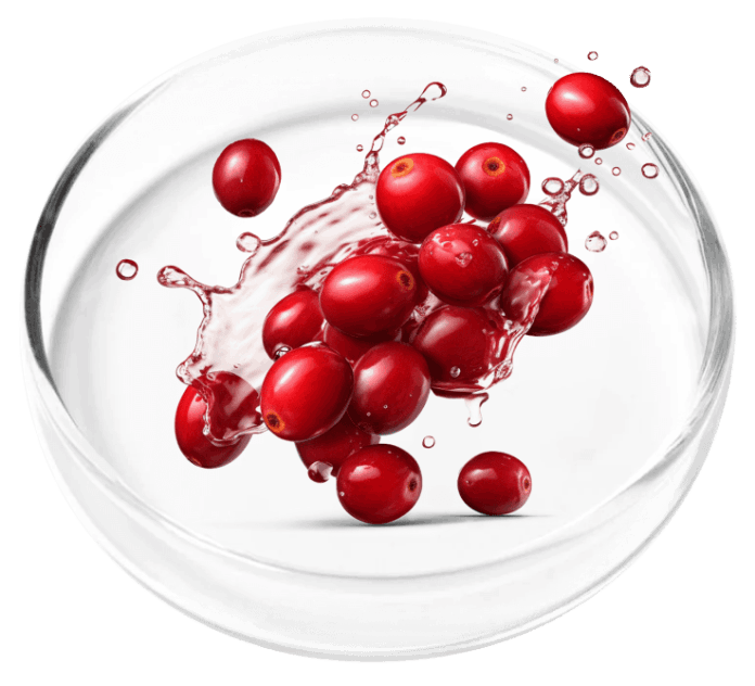 FemiCore-ingredients-3